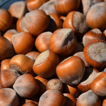 hazelnuts, nutrient, healthy-3783066.jpg