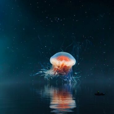 marine, jellyfish, fantasy-7026868.jpg