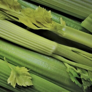 vitamins, a vegetable, celery-5048733.jpg