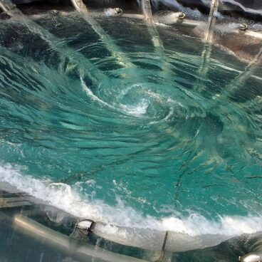 water funnel, whirl, swirl-164713.jpg