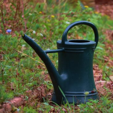 watering can, container, pot-5764764.jpg
